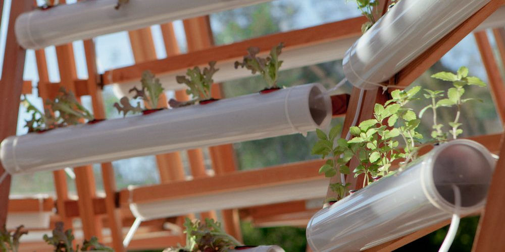 Rotoli da cucina riciclati per sostenere delle piante: durante il Geek Pride Day sono state presentate molte innovazioni