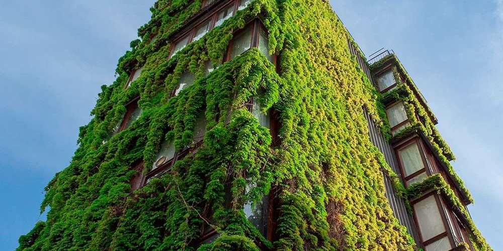 Un palazzo avvolto dalle piante, esempio di bioarchitettura