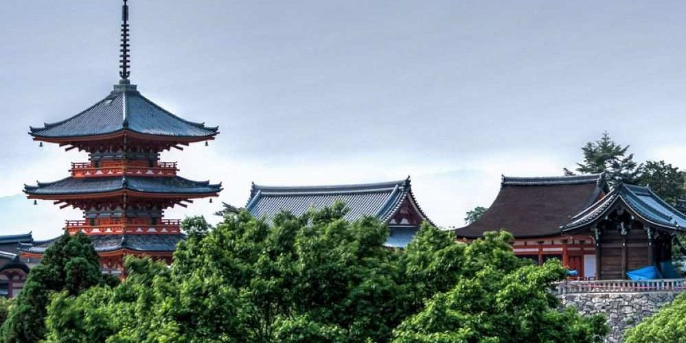 Tetti avvolti nella vegetazione: le città verdi sono il futuro