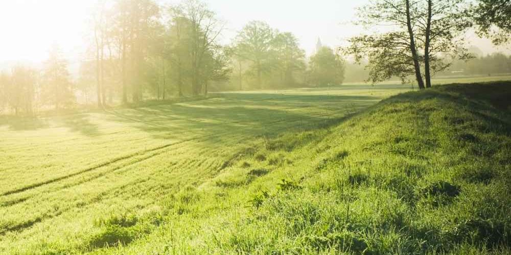 Paesaggio di campagna deserto nella luce del mattino: le restrizioni del Coronavirus hanno avuto effetti positivi sull’ambiente