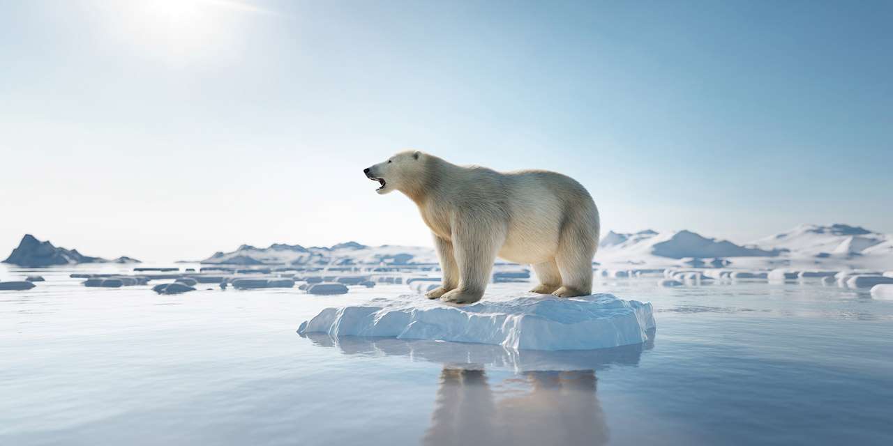 Orso polare su un blocco di ghiaccio, simbolo del cambiamento climatico