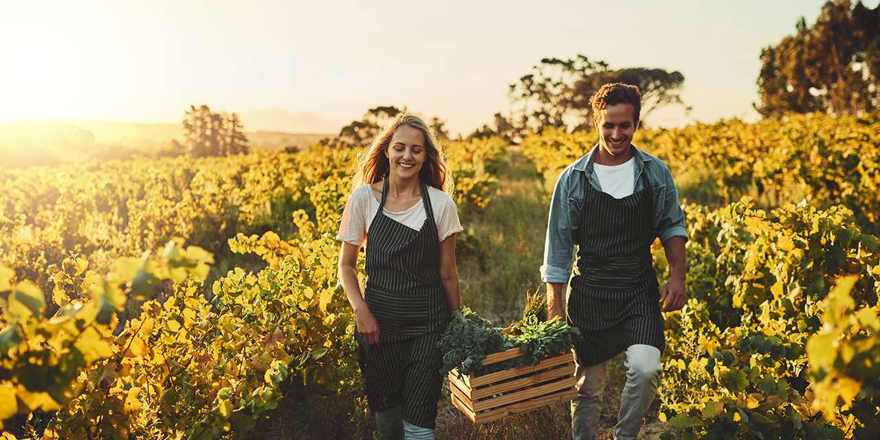 Una giovane coppia di agricoltori trasporta una cassetta con verdura: produzioni biologiche e alimentazione sana riducono le emissioni di CO2