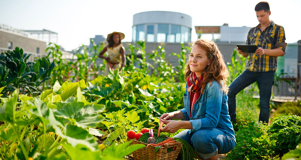 Giovani agricoltori in un orto urbano: le città del futuro per essere più green dovranno essere più autosufficienti