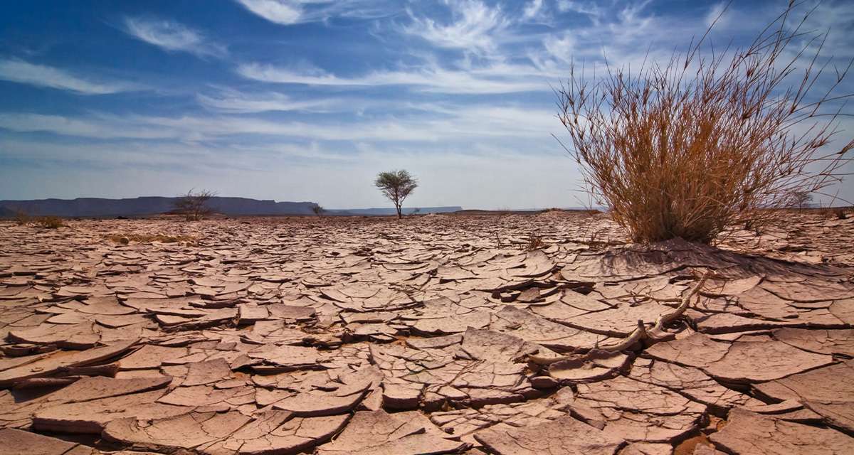 Terra spaccata dalla siccità