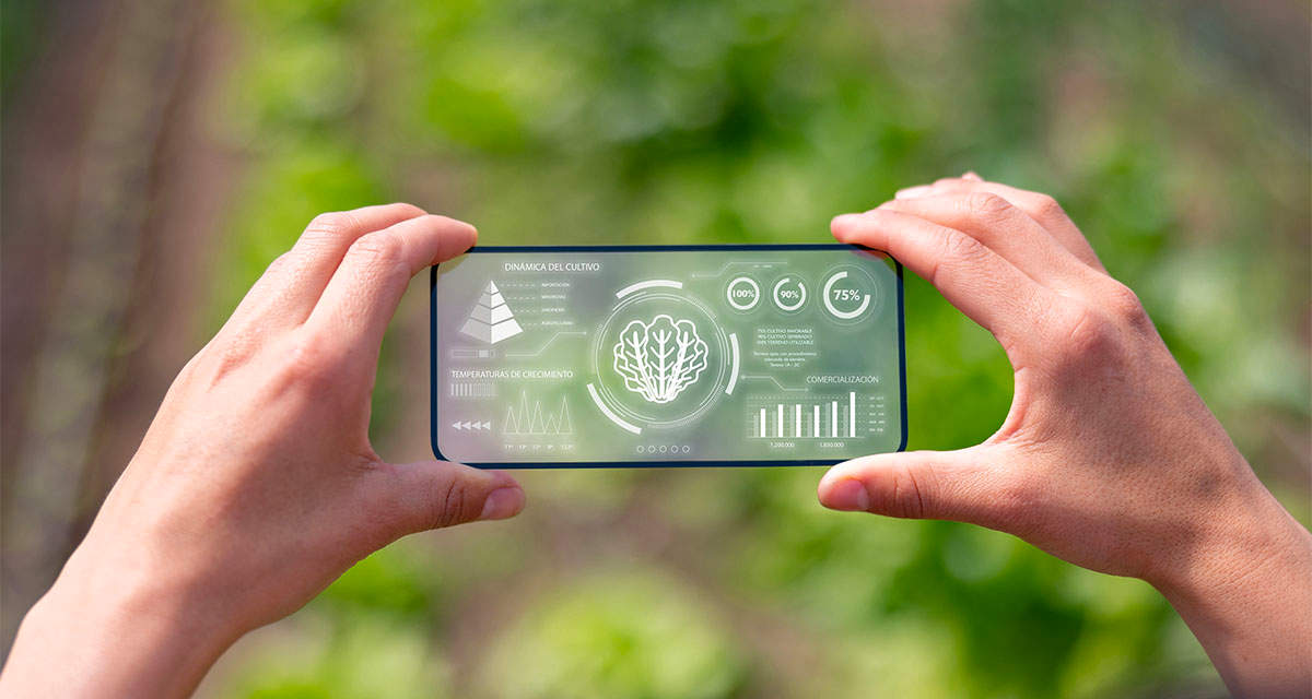 Intelligenza Artificiale e sostenibilità alleate nel nome del futuro