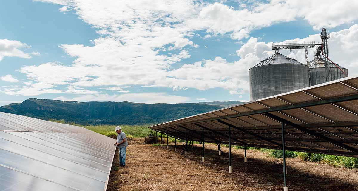 Un tecnico controlla pannelli fotovoltaici su un campo: esempio di agrivoltaico